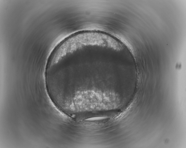 X0000093750943200711131122