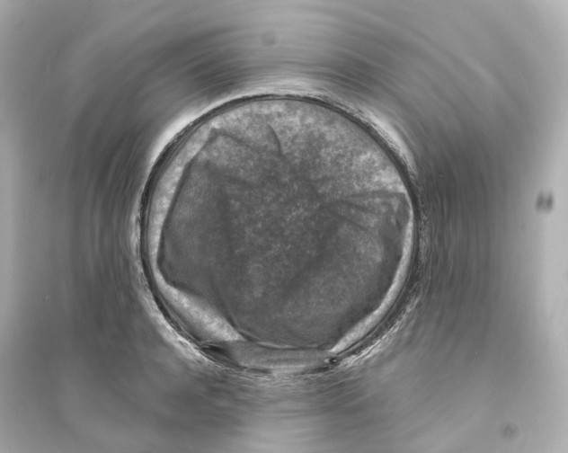 X0000093750944200711131122