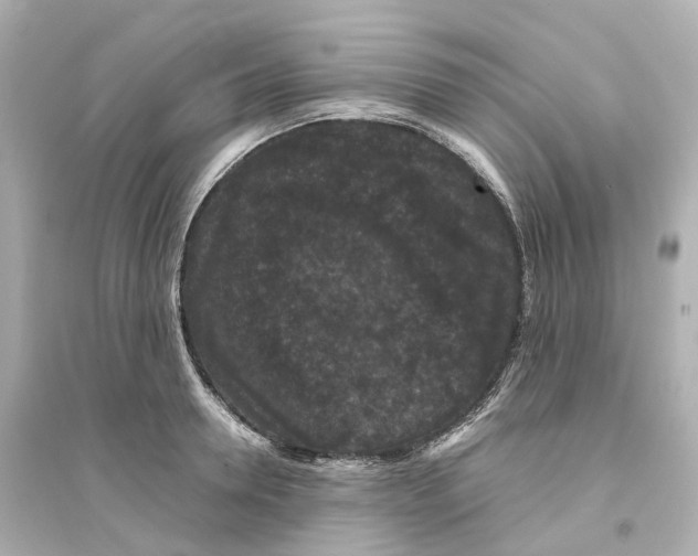 X0000093750946200711131122