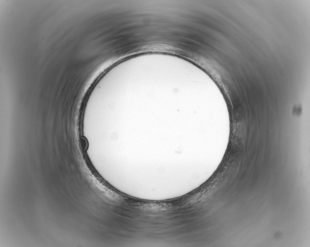 X0000093750947200711131122