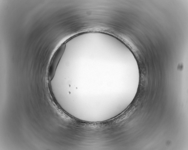 X0000093750948200711131122