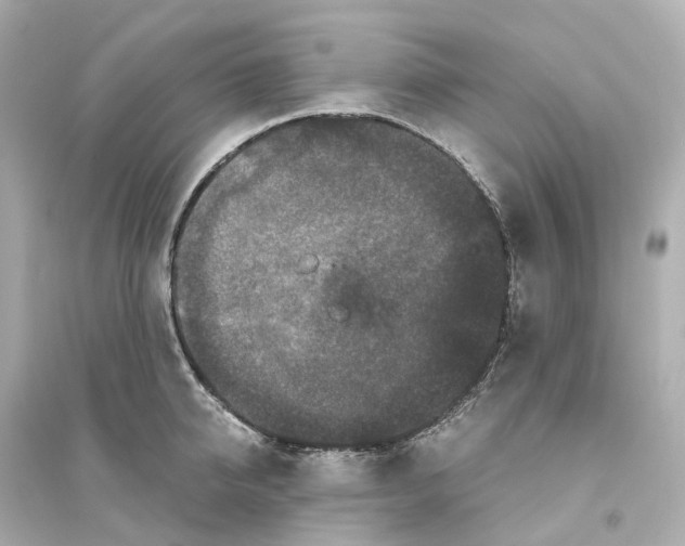 X0000093750950200711131122