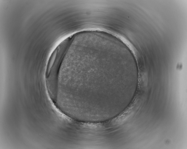 X0000093750951200711131122