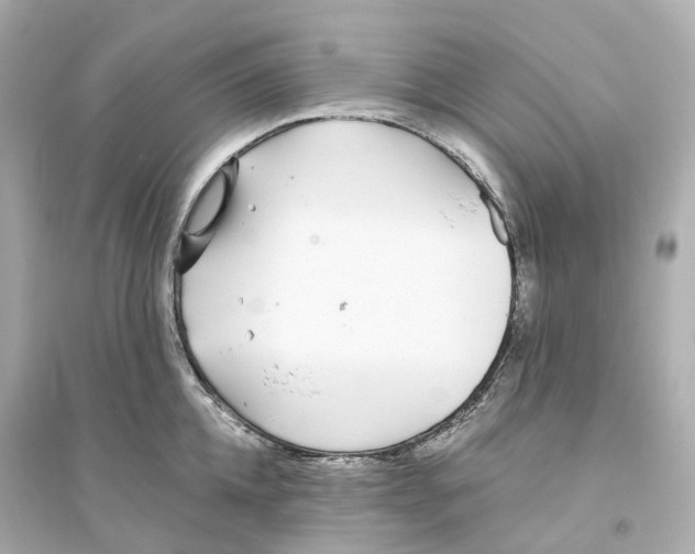 X0000093750952200711131122