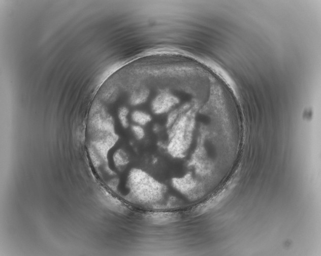 X0000093750953200711131122