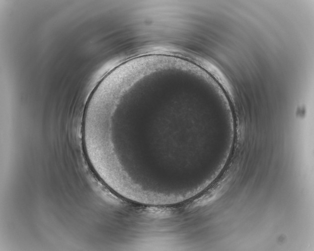 X0000093750954200711131122