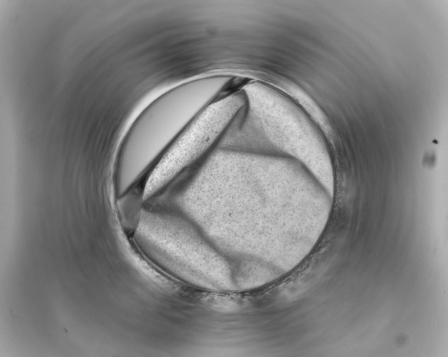 X0000093750955200711131122