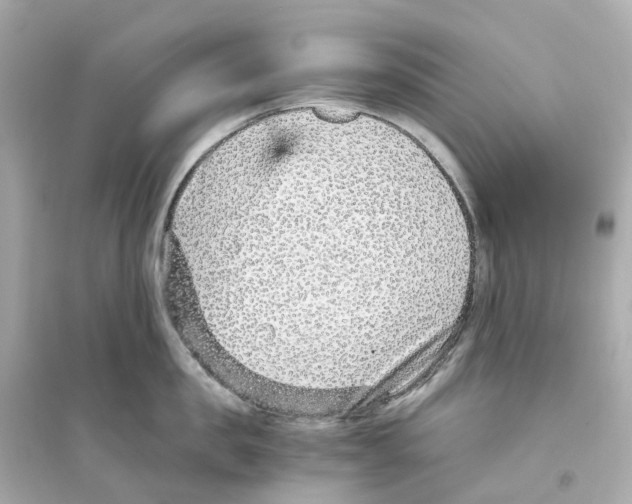 X0000093750957200711131122