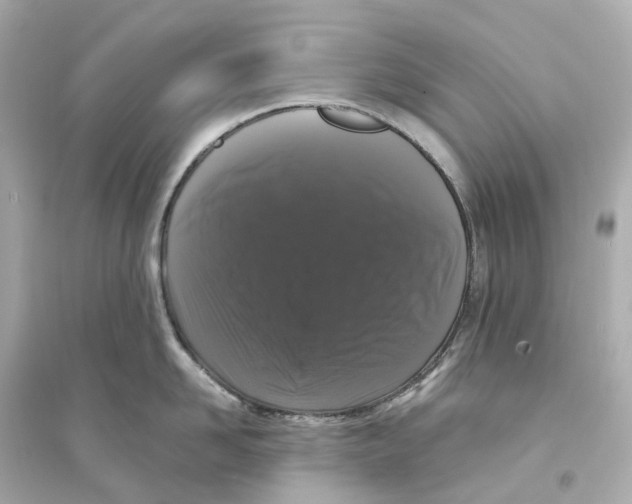 X0000093750958200711131122