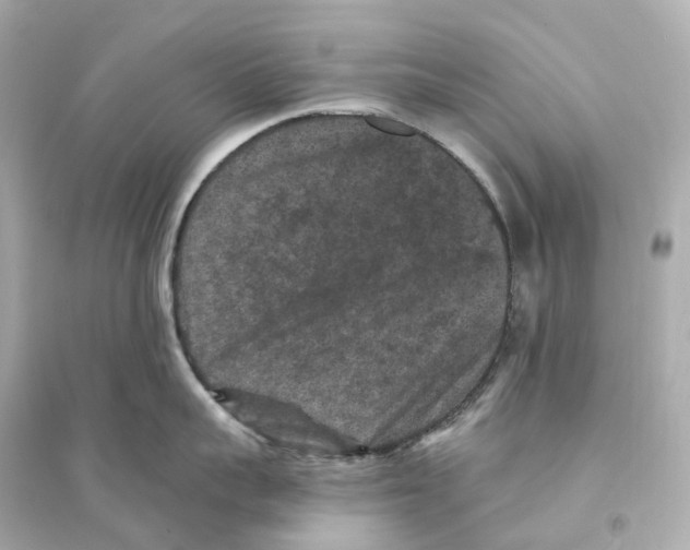 X0000093750959200711131122