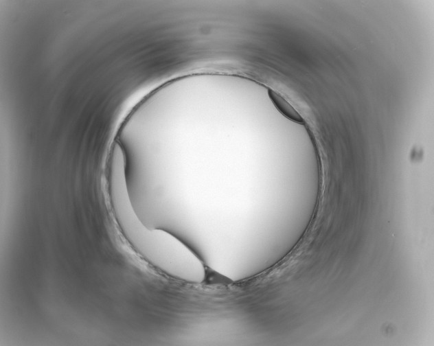 X0000093750960200711131122