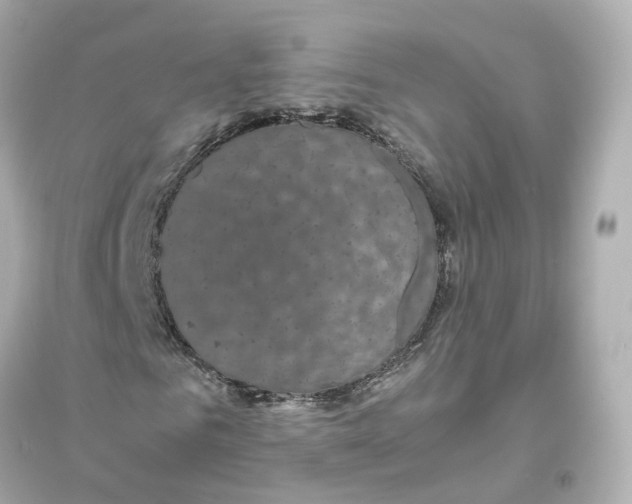 X0000093750961200711131121