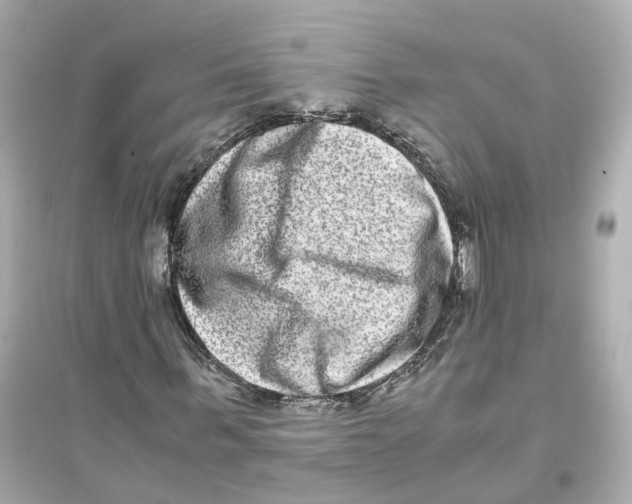 X0000093750963200711131121