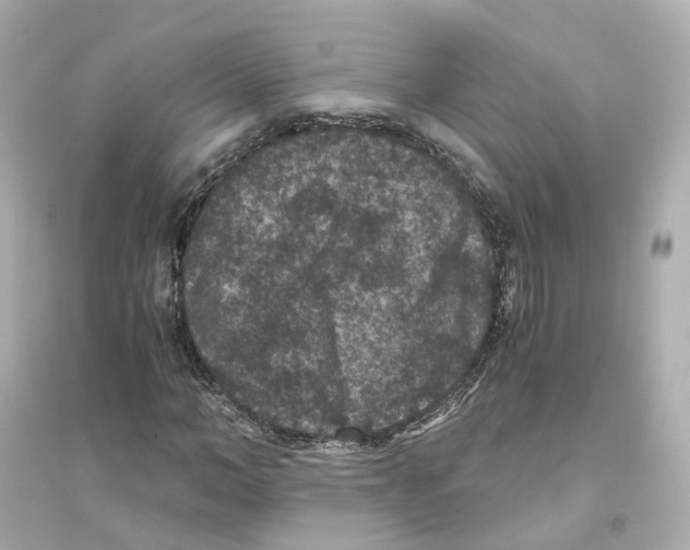 X0000093750966200711131121