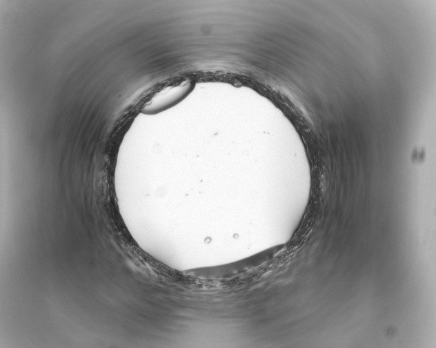 X0000093750968200711131121