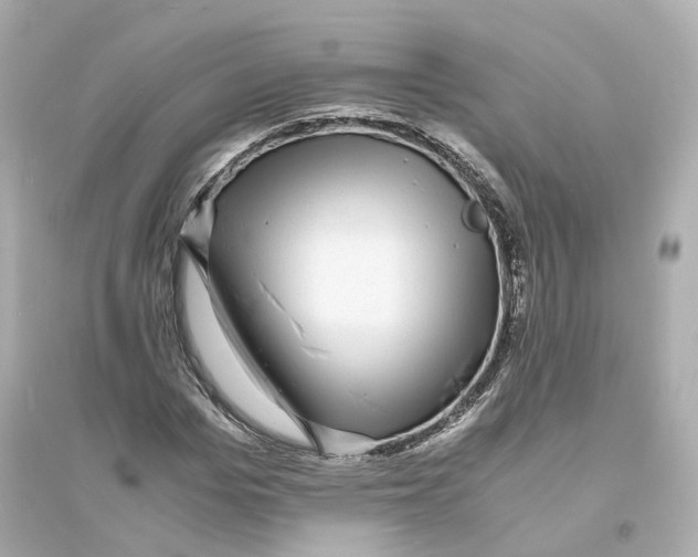 X0000093750969200711131121