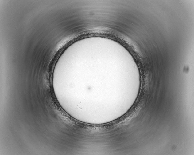 X0000093750970200711131121