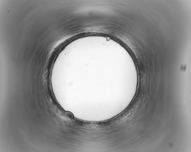 X0000093750971200711131121