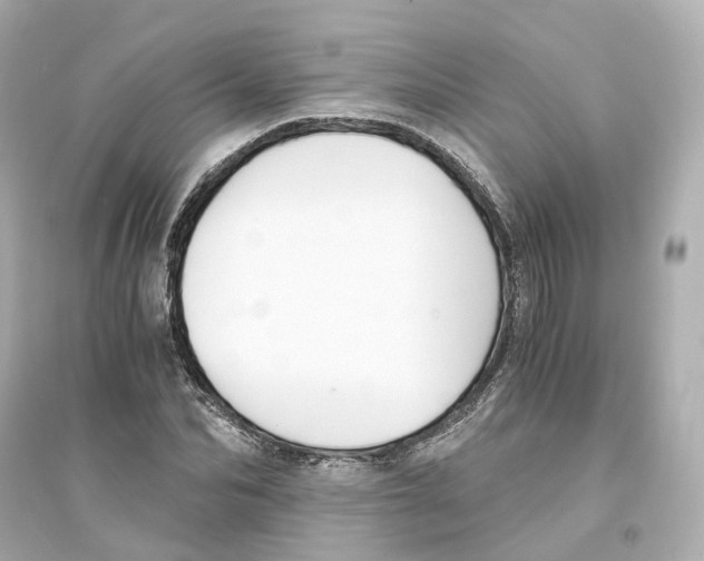 X0000093750974200711131121