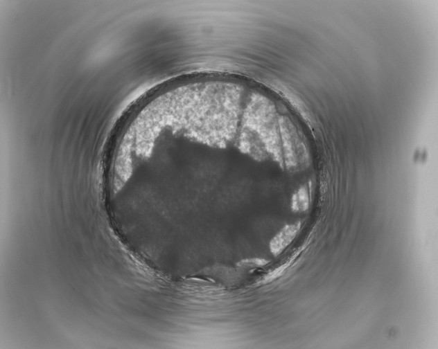 X0000093750975200711131121