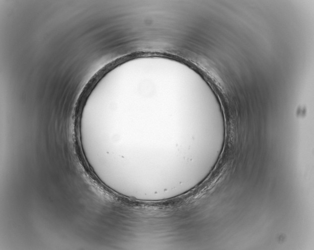 X0000093750976200711131121