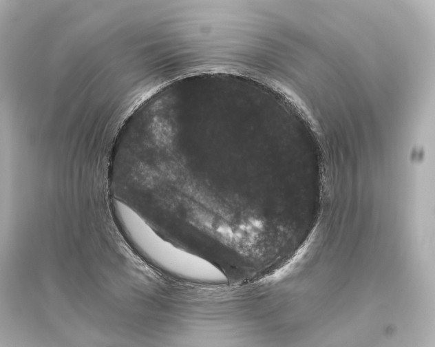 X0000093750977200711131121