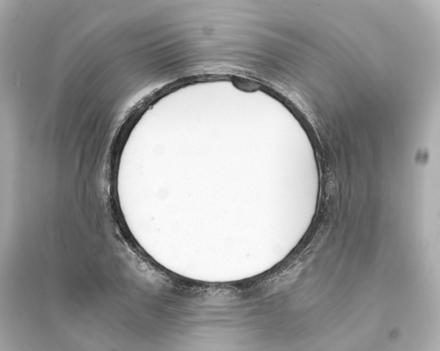 X0000093750979200711131121