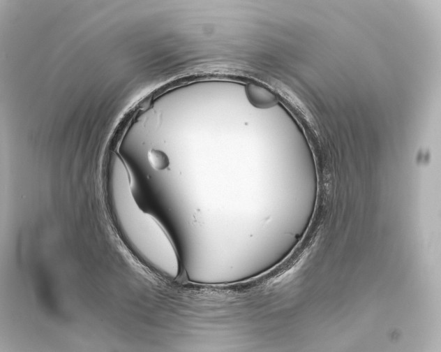 X0000093750981200711131121