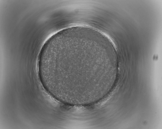 X0000093750983200711131121