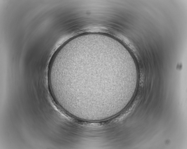 X0000093750986200711131121