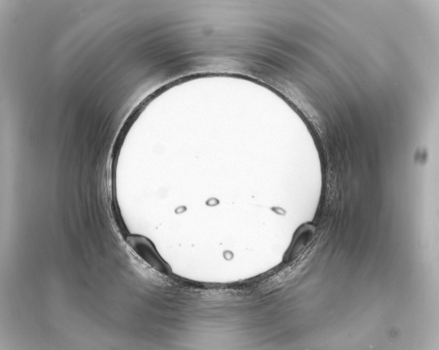 X0000093750988200711131121