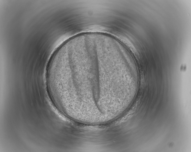 X0000093750990200711131121