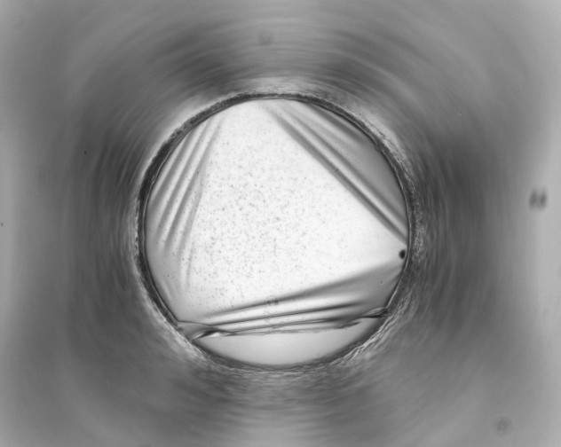 X0000093750992200711131121