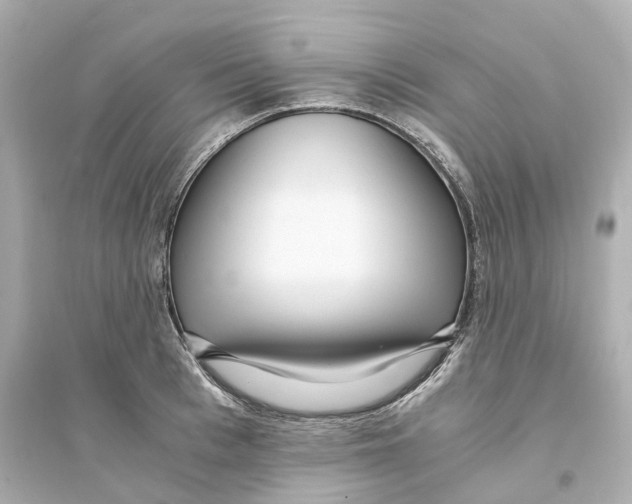 X0000093750993200711131121