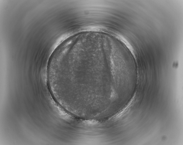 X0000093750994200711131121