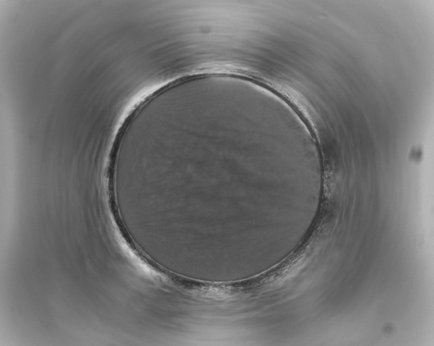 X0000093750995200711131121