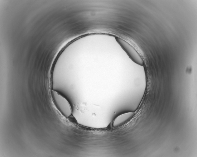 X0000093750996200711131121