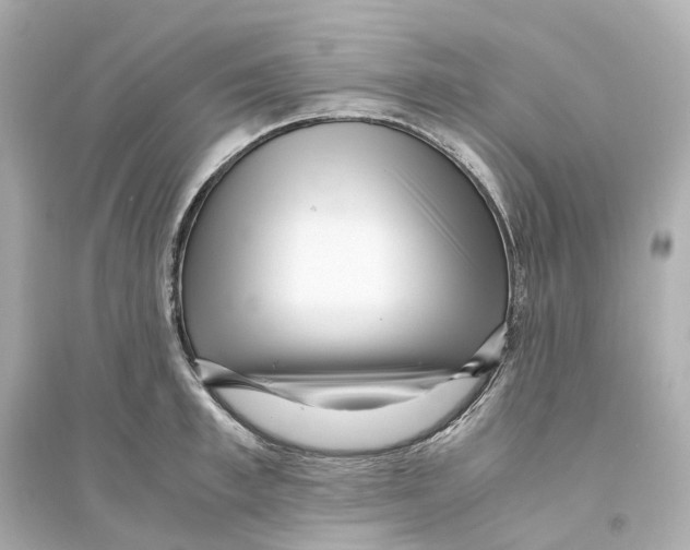 X0000093750997200711131121