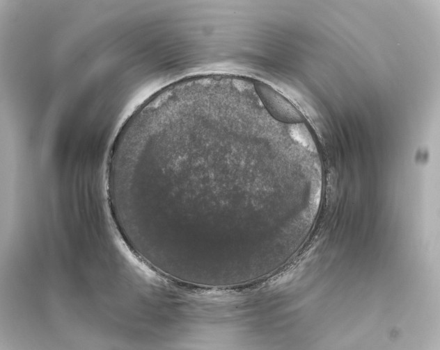 X0000093750998200711131121