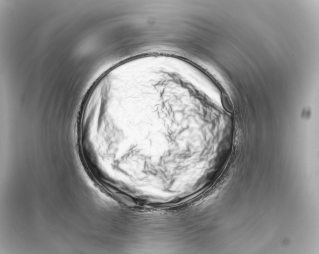 X0000093750999200711131121