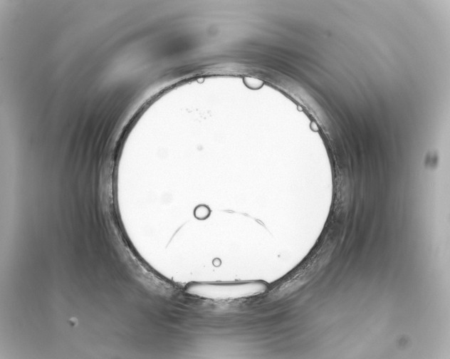 X0000093751000200711131121