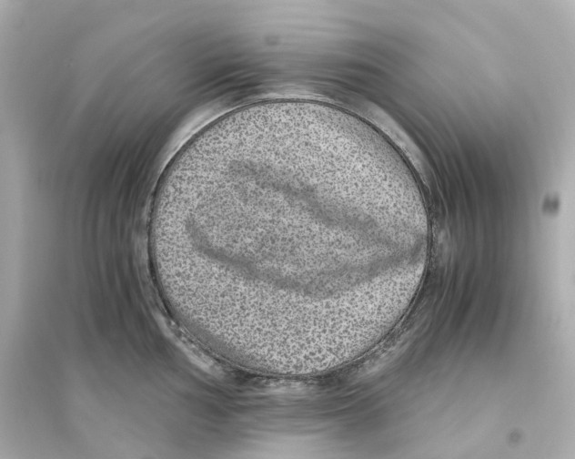 X0000093751002200711131121