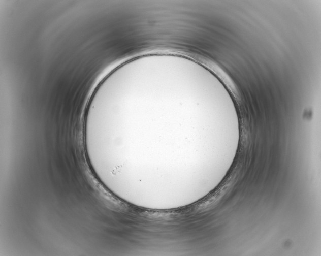 X0000093751004200711131121