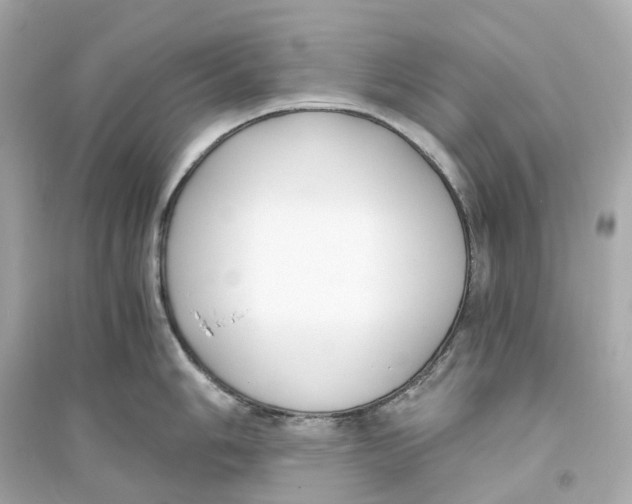 X0000093751006200711131121