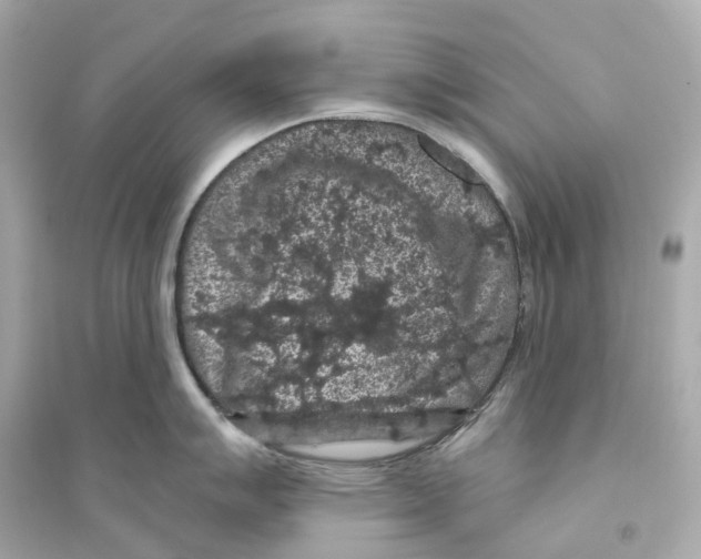 X0000093751007200711131121