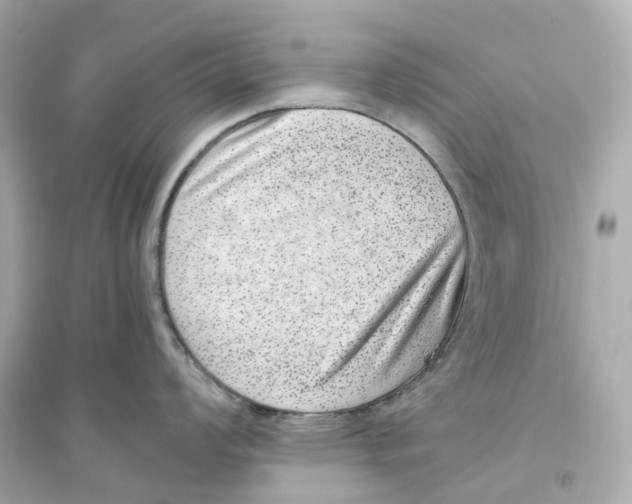 X0000093751008200711131121