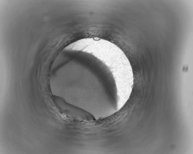 X0000093751009200711131120