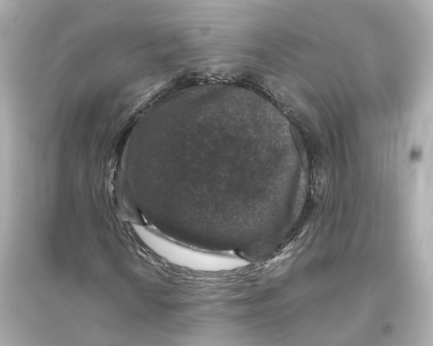 X0000093751010200711131120