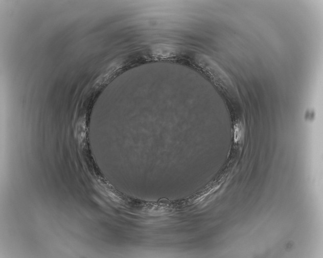 X0000093751011200711131120