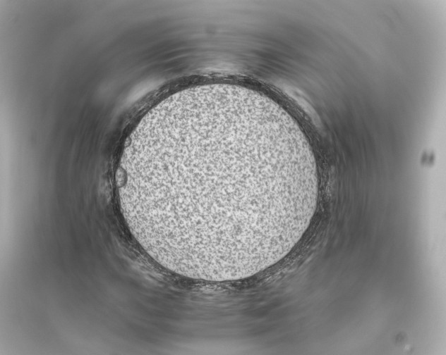 X0000093751015200711131120